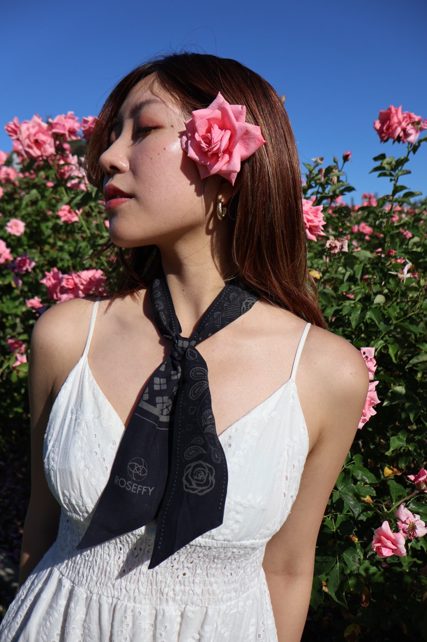 Quintet Rose Scarf